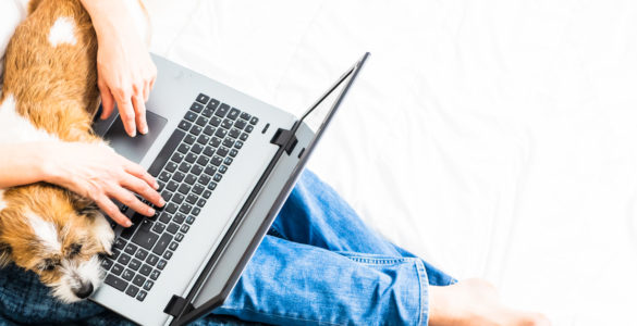 Resources to Help Nonprofits